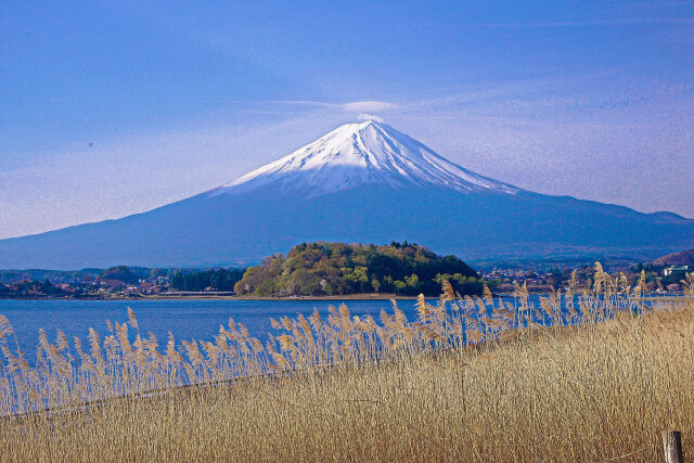 春の陽射しを浴びる富士山