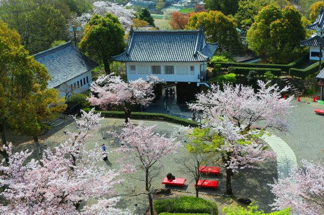 犬山城春