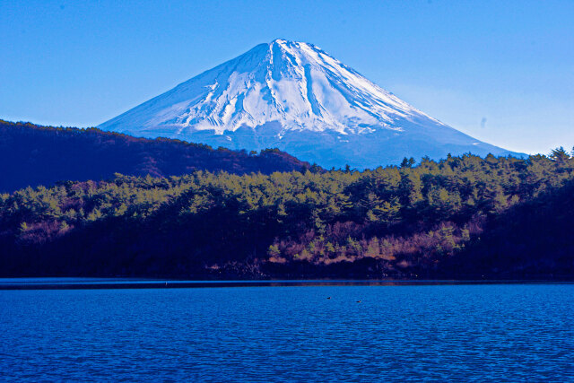 西湖と富士山