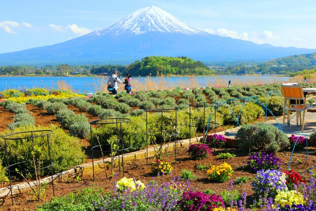 富士山春