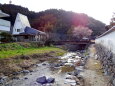 秋月城址 春の川辺の遊歩道