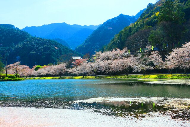 下北山村春