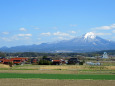 春陽の大山