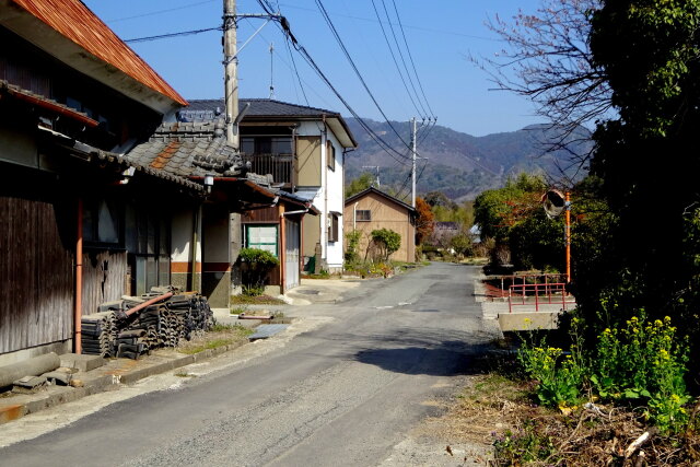 早春の田舎道