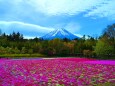 富士山春