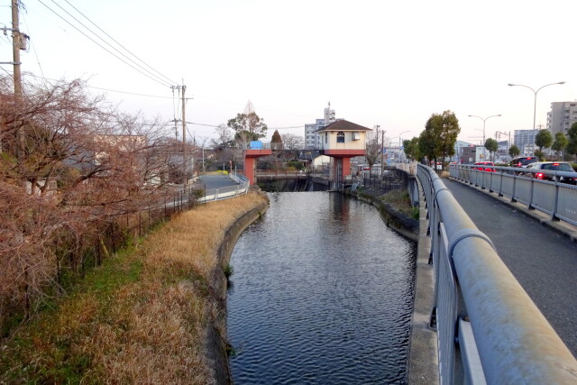 夕暮れ近くに