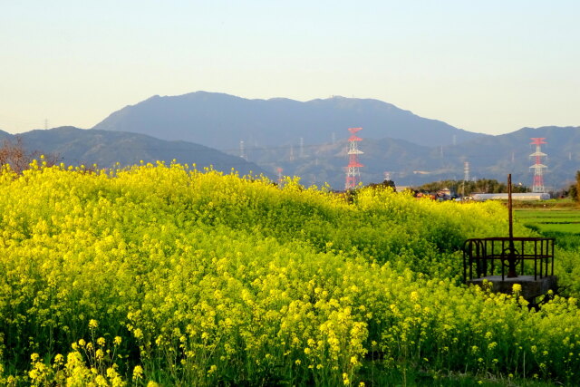 夕暮れ近く宝満川の土手から