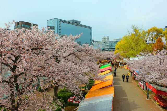 大阪城公園春