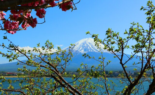 富士山春