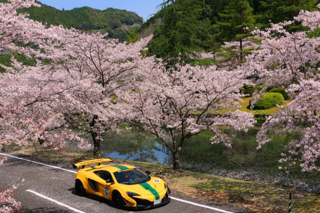 桜とスポーツカー