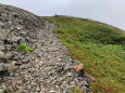 蝶ヶ岳登山道にて