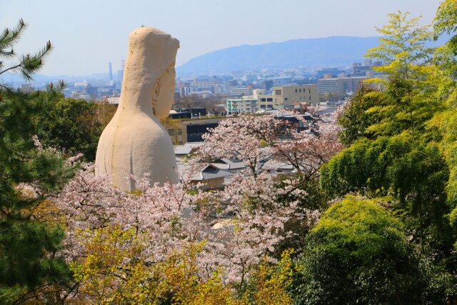 京都春