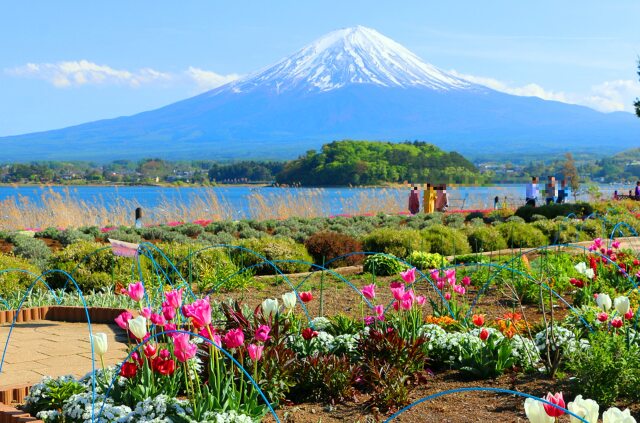 富士山春