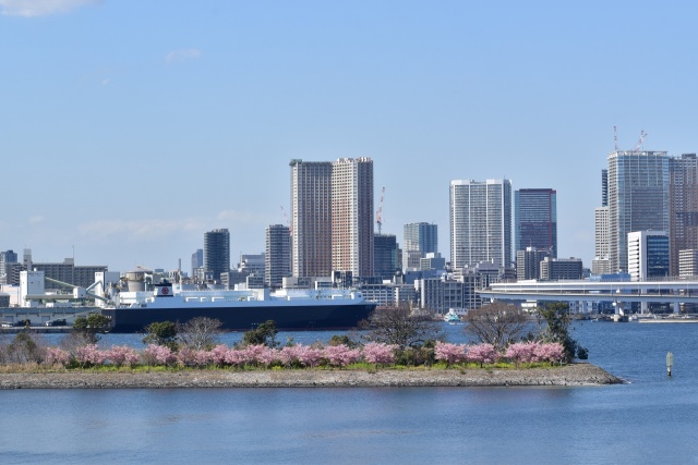 お台場海浜公園から望む春景色