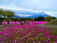 富士山春