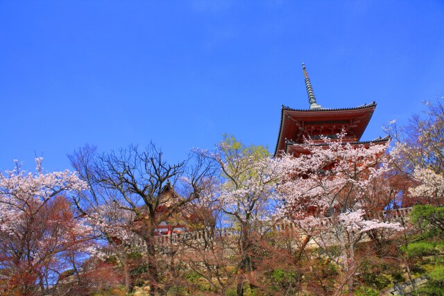 清水寺春