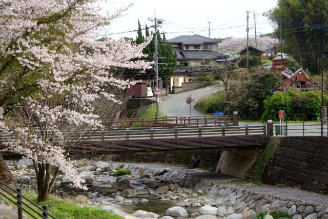 里の春景色