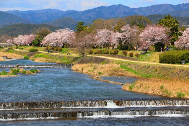 鴨川春