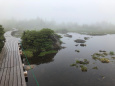 雨の天狗原