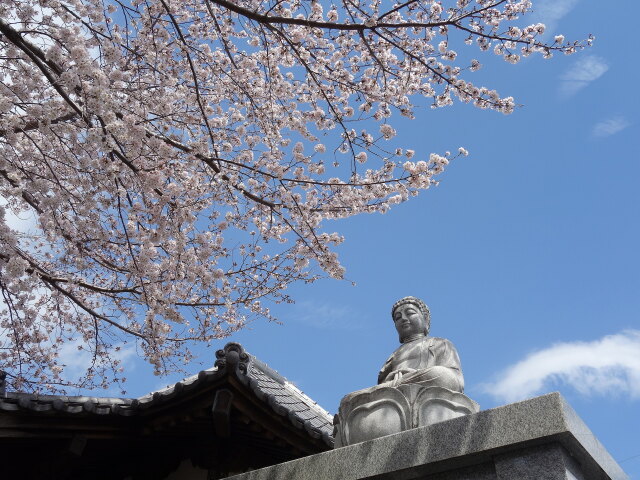 花の寺