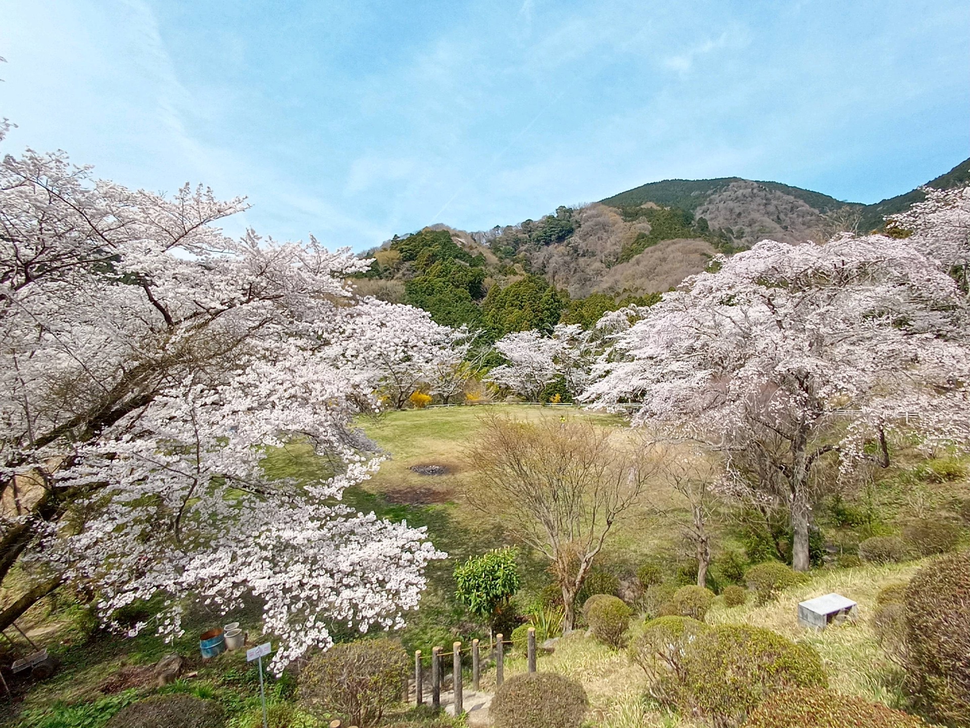 日本の風景「里山の桜」壁紙1920x1440 - 壁紙館