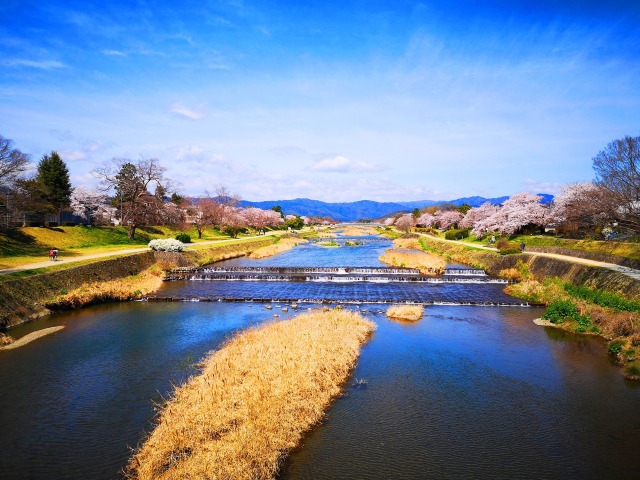 鴨川春