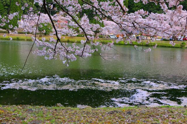 花いかだ