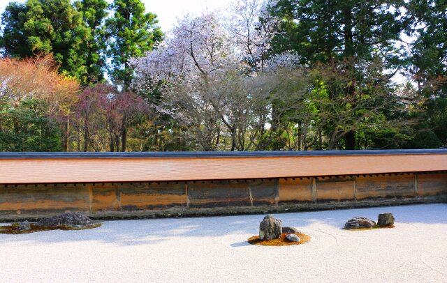 龍安寺石庭春