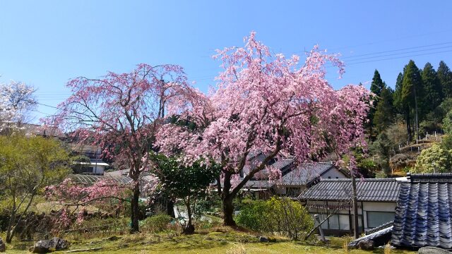 小石原窯元さんの庭