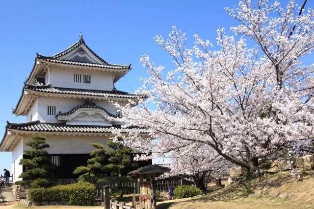 春の丸亀城