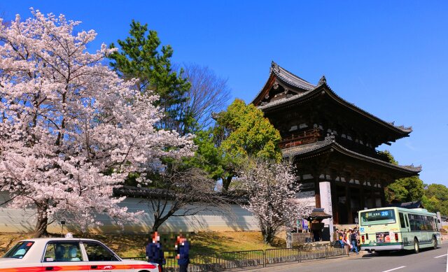 仁和寺春