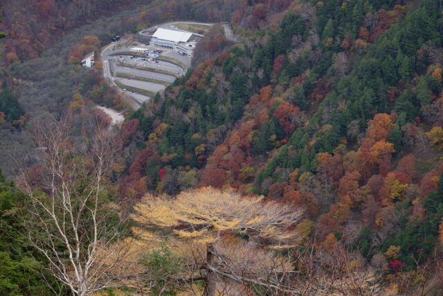 秋の扇沢