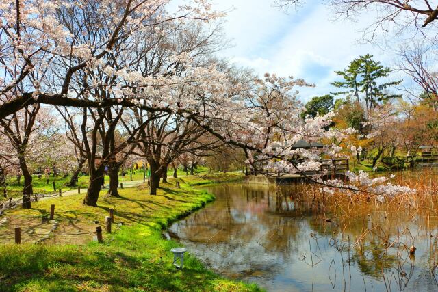 京都府立植物園春