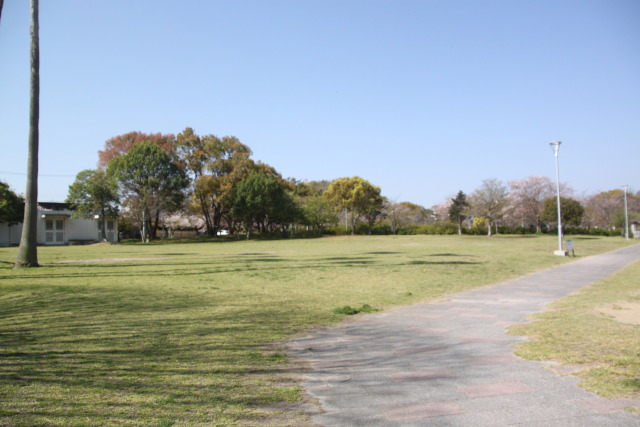 広い公園