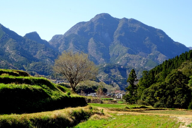 山国日本 山間部の春