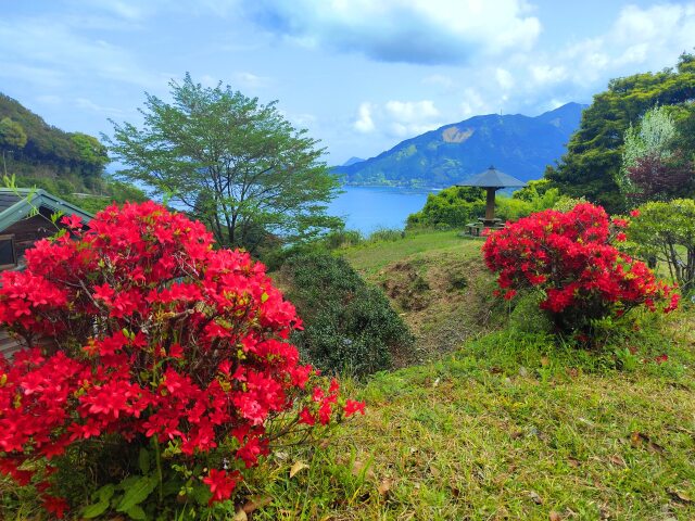 春の海