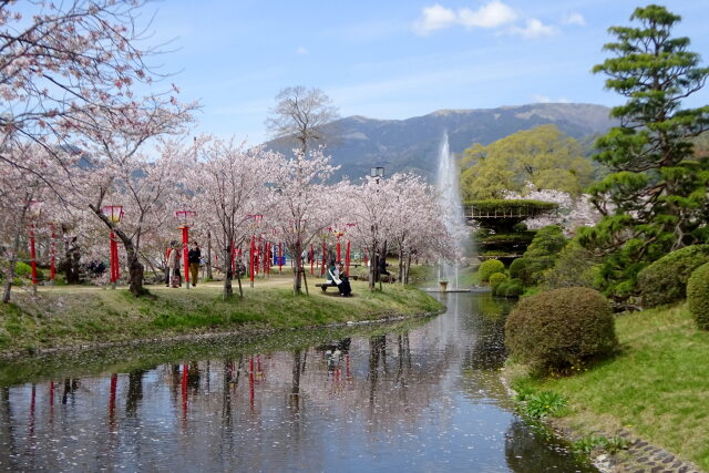 春晴れの公園