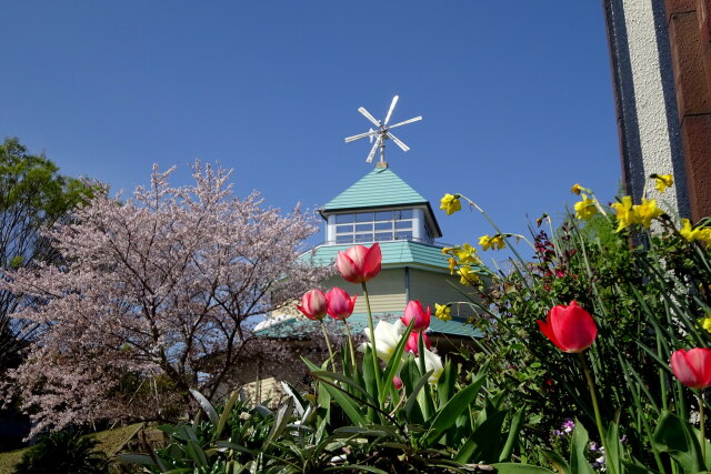 風の館 ある春の日