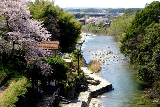 城原川の春景色 愛逢橋から