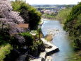 城原川の春景色 愛逢橋から