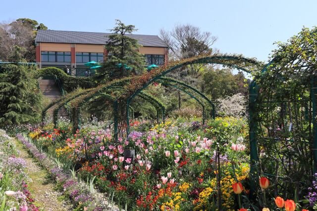 モネの庭の花壇