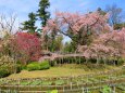 京都府立植物園春