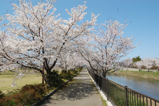 旅立ちの日に2 2022年