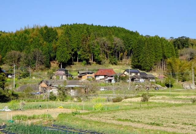 春が訪れた山村集落