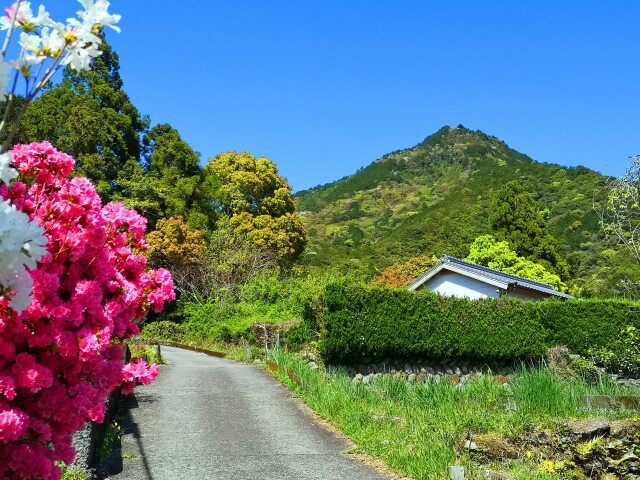 春の里山