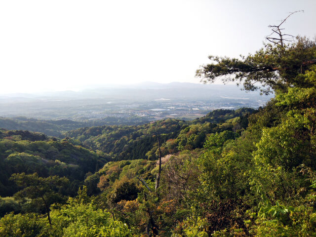 武田道より、by猿投山