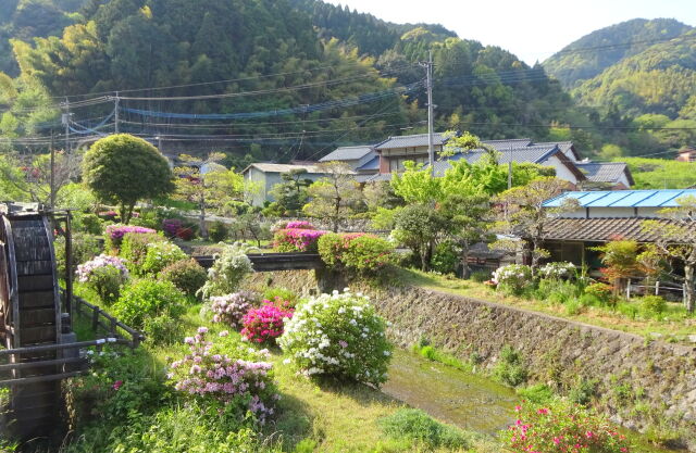 春の山里