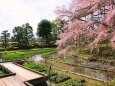 京都府立植物園春