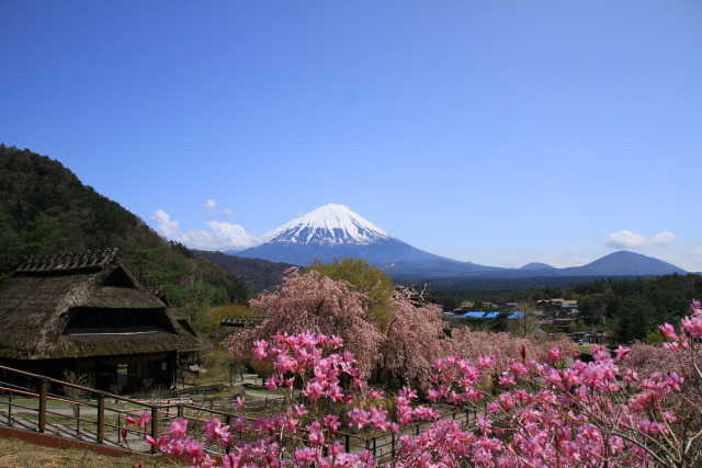 いやしの里の春