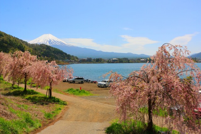 河口湖春